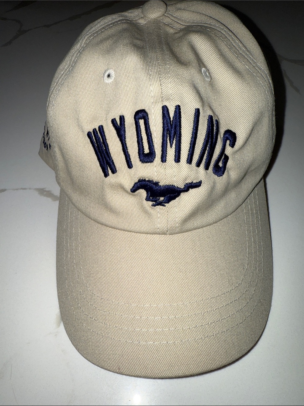 Diamond Cross Ranch Dad Hat WYOMING